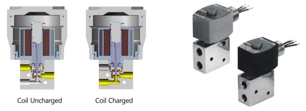 product-1007-365 product-1007-365